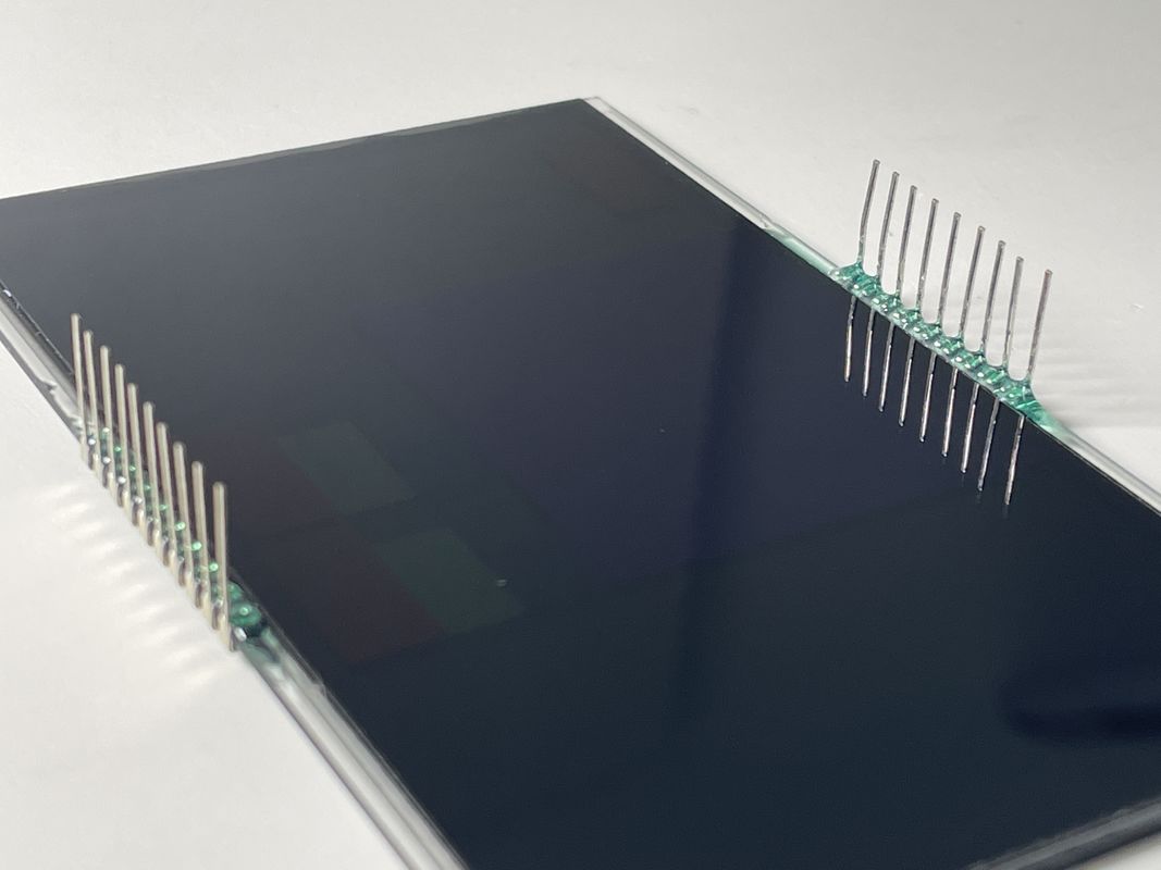 Prezzo all'ingrosso VA Segmento LCD Display Color PIN Control Screen Backlight Bianco Per Massaggiatore